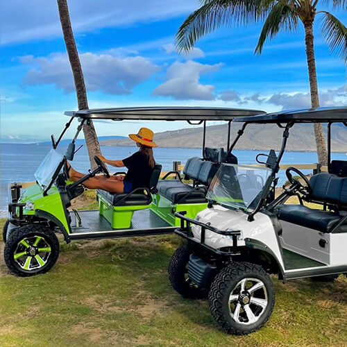 Street legal store golf cars