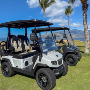 Street-Legal Golf Cart