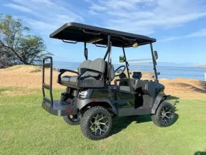 golf cart ownership cost