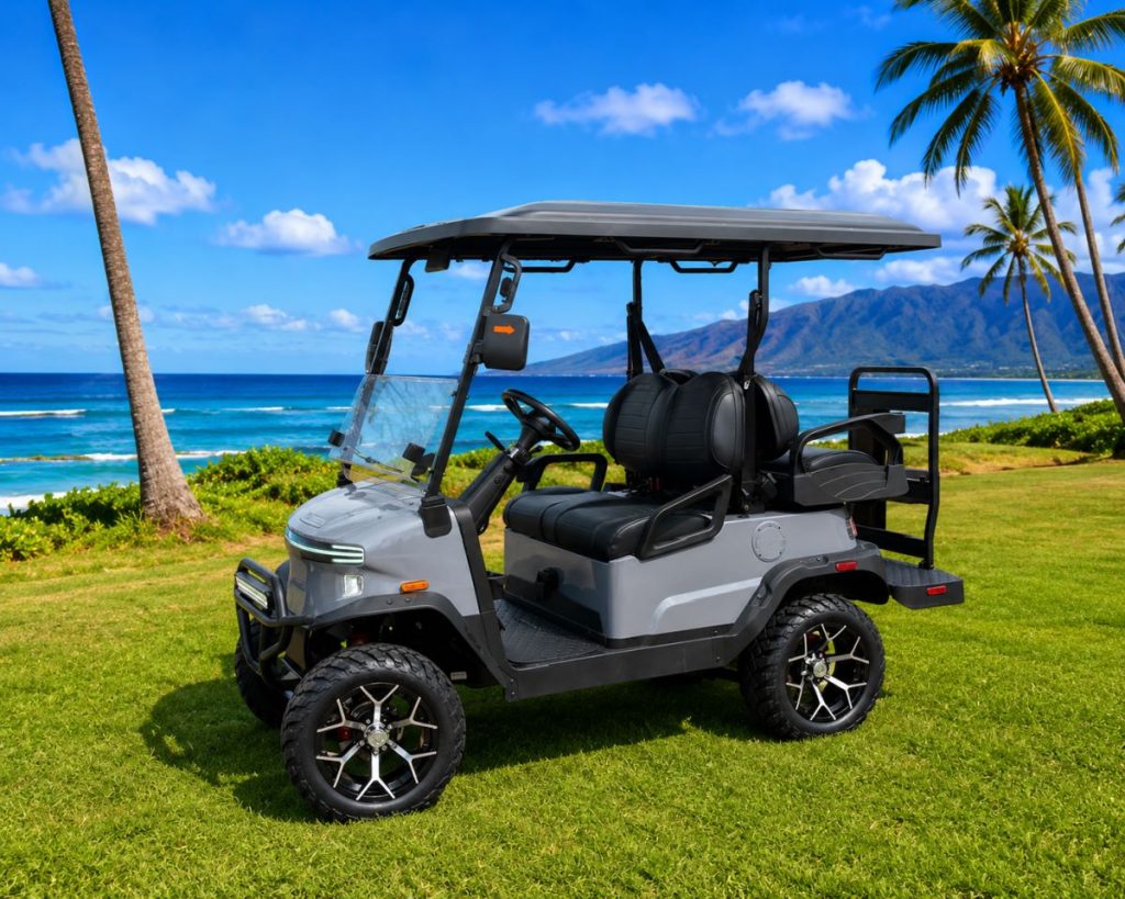 Denago golf cart problems