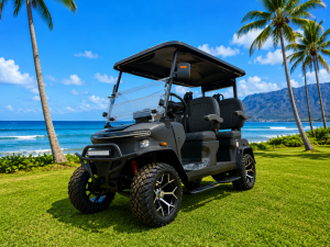 golf cart maintenance