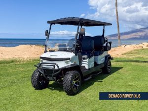 4 passenger golf cart dimensions